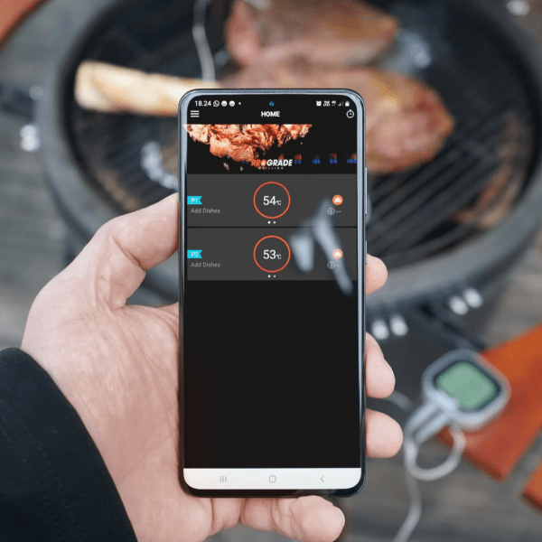 Mustang Digital thermometer